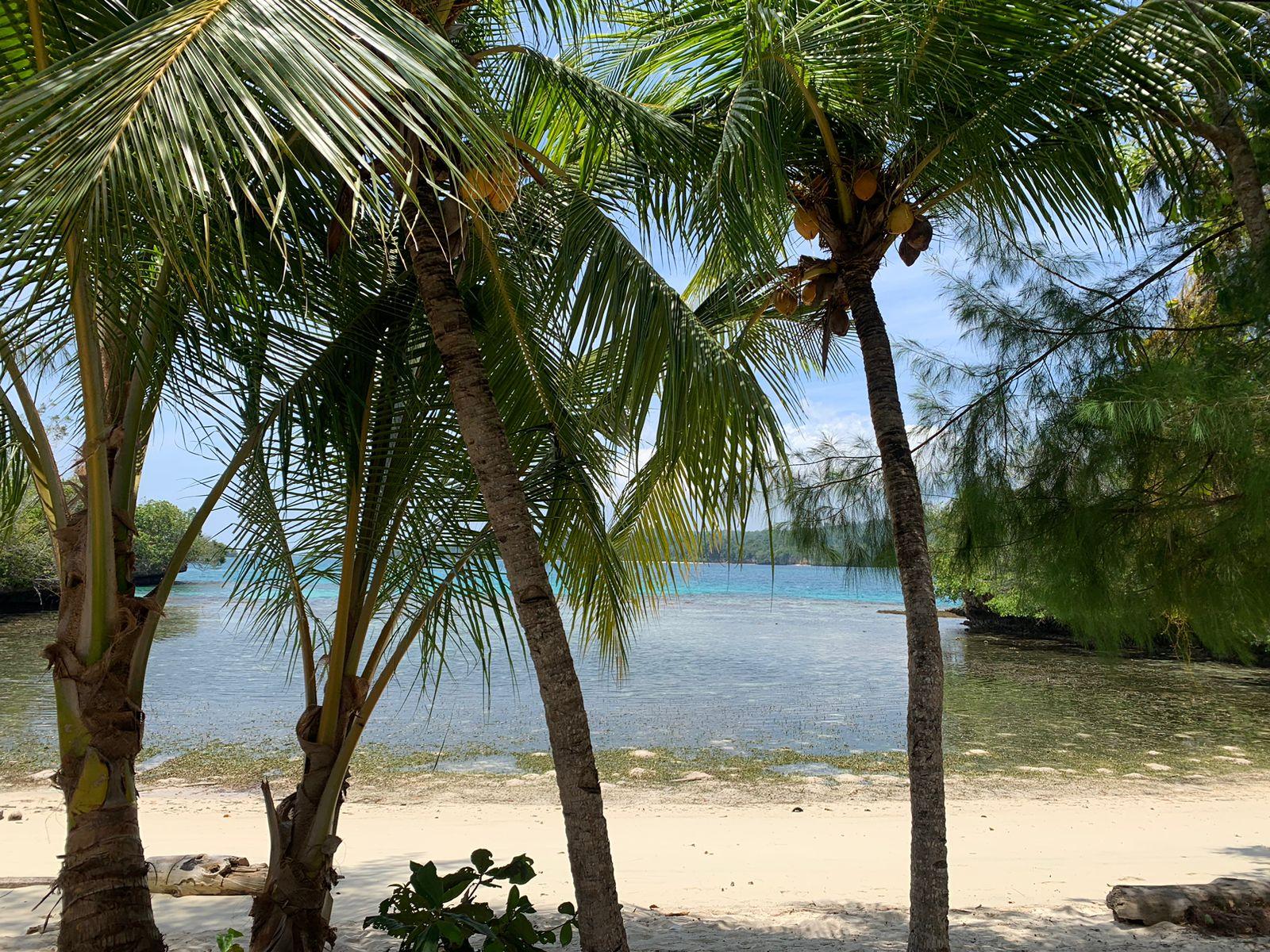 Poya Lisa Cottages – the islet and surrounding sea (November 2025)