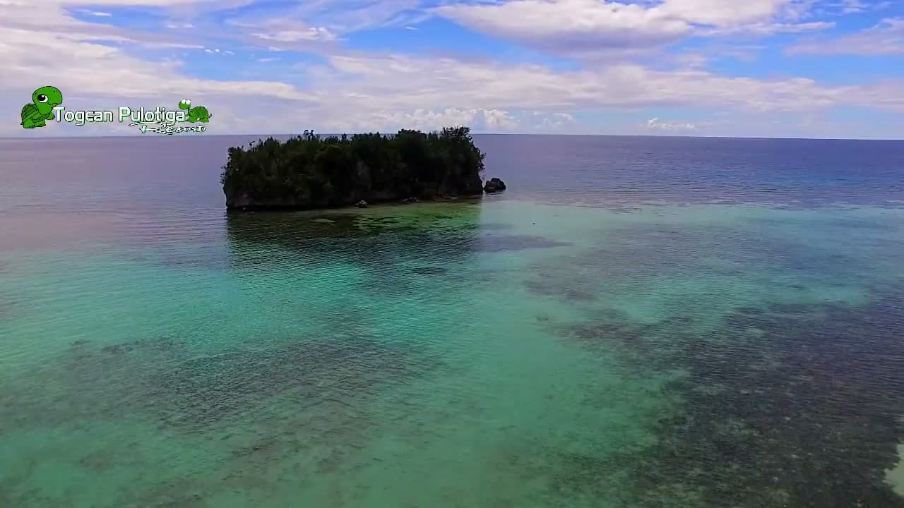Togean Pulotiga Resort – drone view of a forested Pulo Tiga islet ringed by reef flats