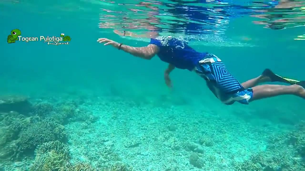 Togean Pulotiga Resort – snorkeler over the coral house reef
